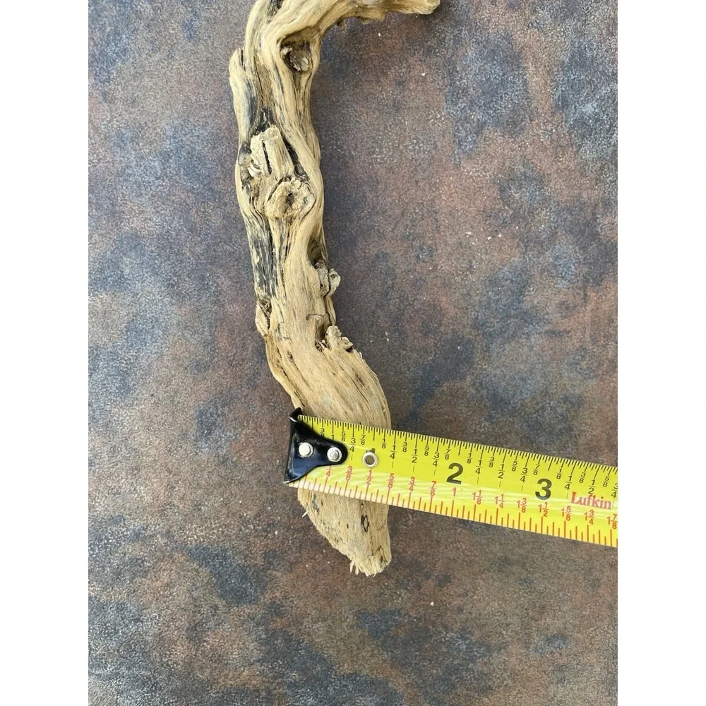 Natural Driftwood for Plants Terrarium Taxidermy‎ Art Projects